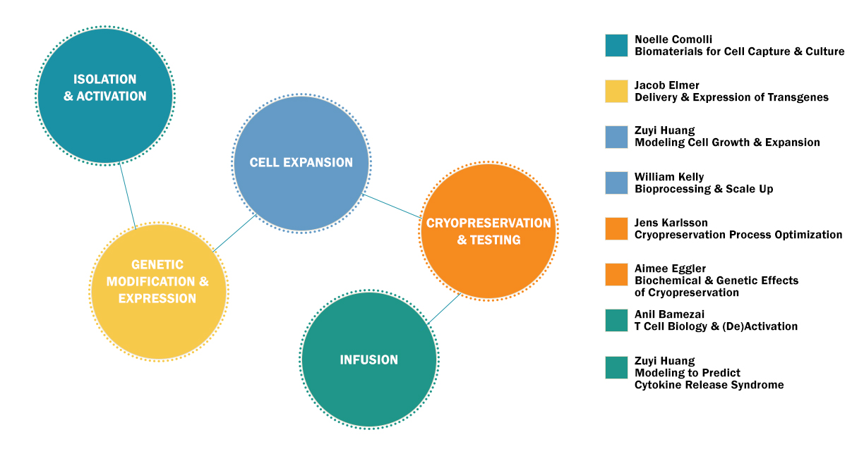 NovaCell Process decorative