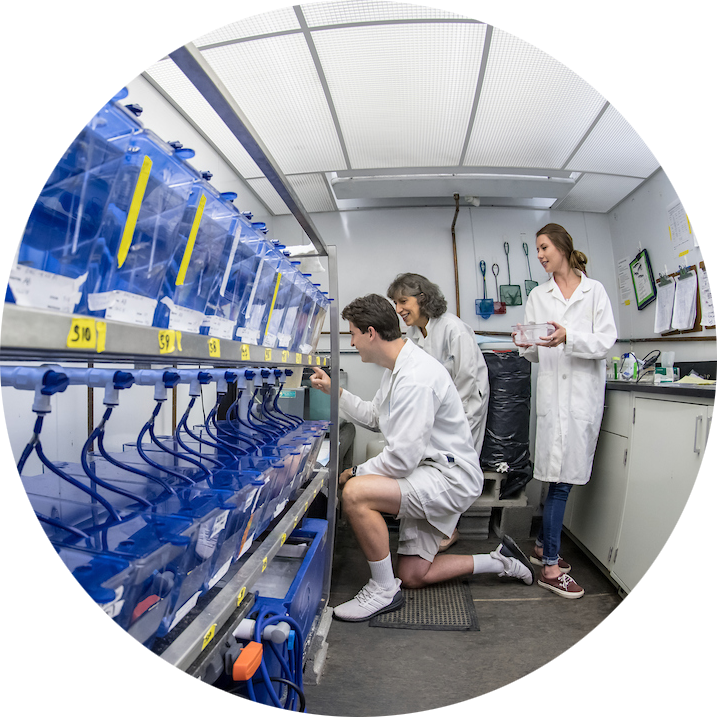 ASU076_20190820_473_circle