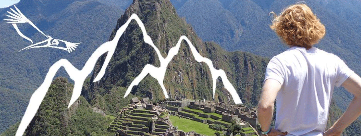 Student standing on a mountain top
