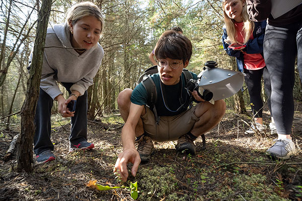 Students outside reaching for an insect 